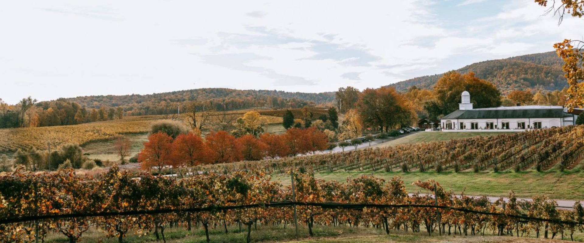 The Hidden Gem of Wine Production: Exploring Central Virginia's Rich History
