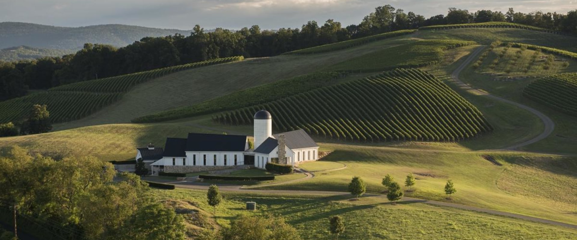 The Ultimate Guide to Starting a Wine Company in Central Virginia