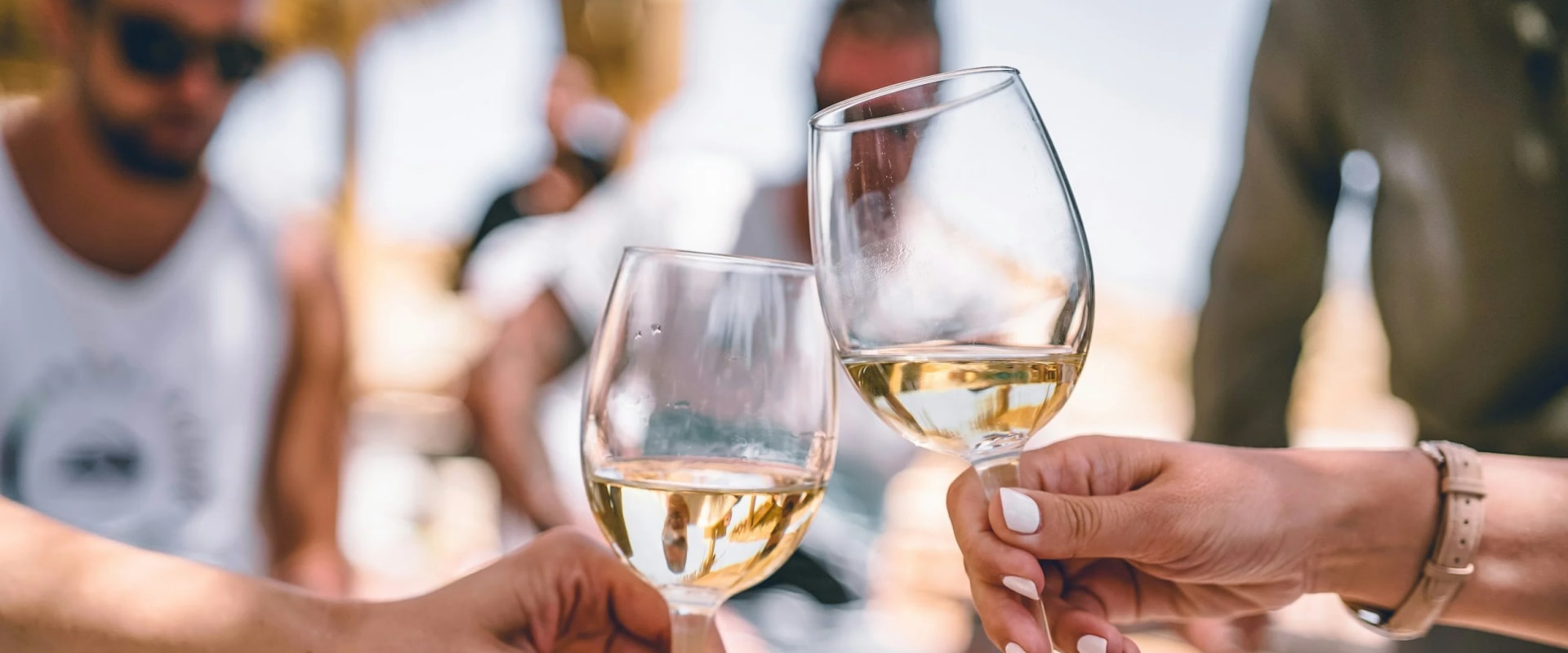 The Ultimate Guide to Wine Companies and Food Pairings in Central Virginia