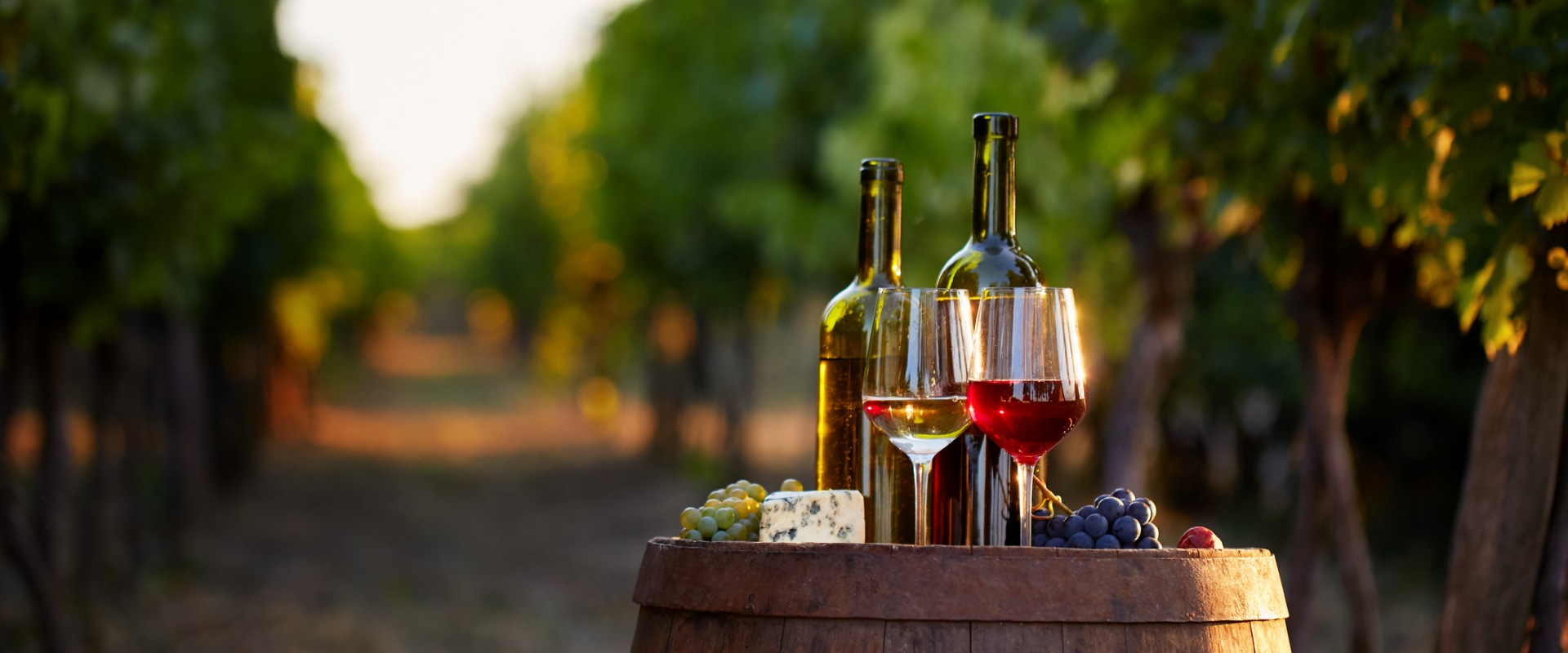 The Economic Impact of Wine Companies in Central Virginia: A Local Expert's Perspective