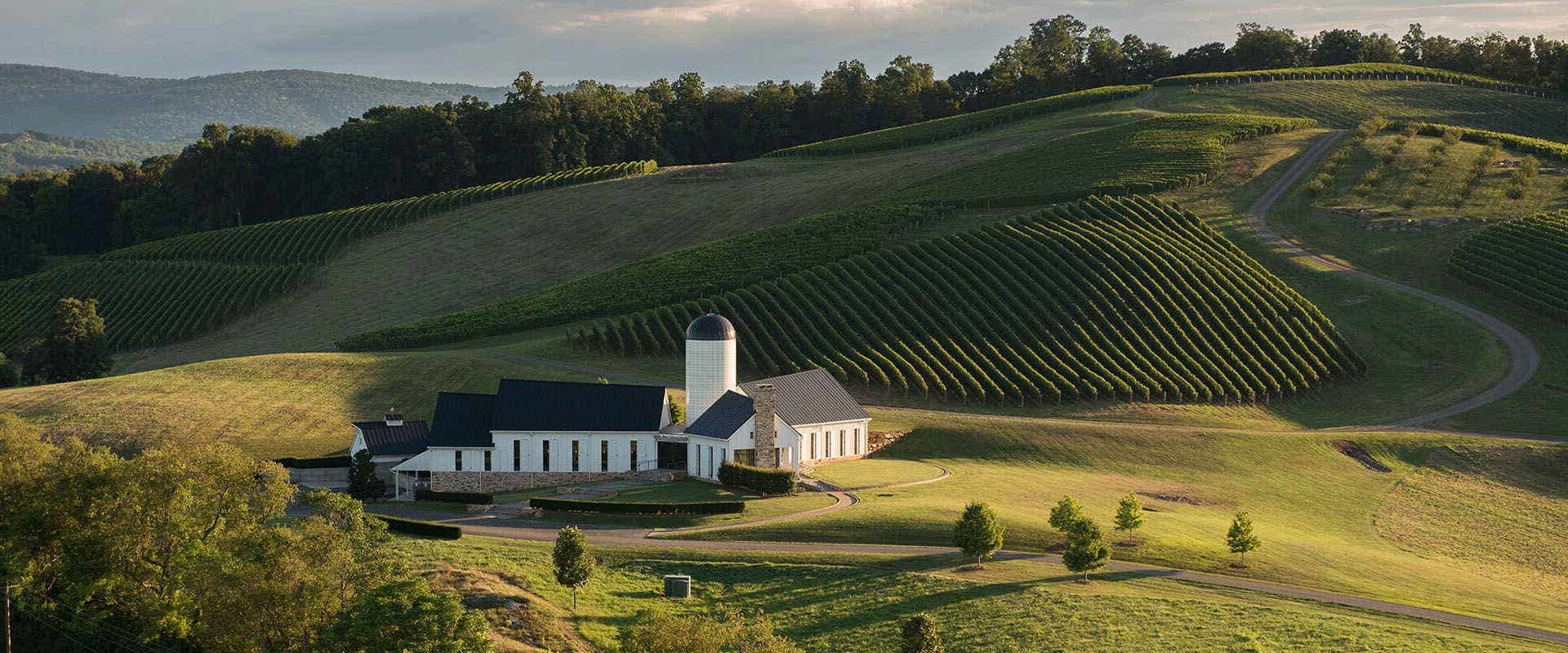 Uncovering the Hidden Gems of Central Virginia's Wine Country