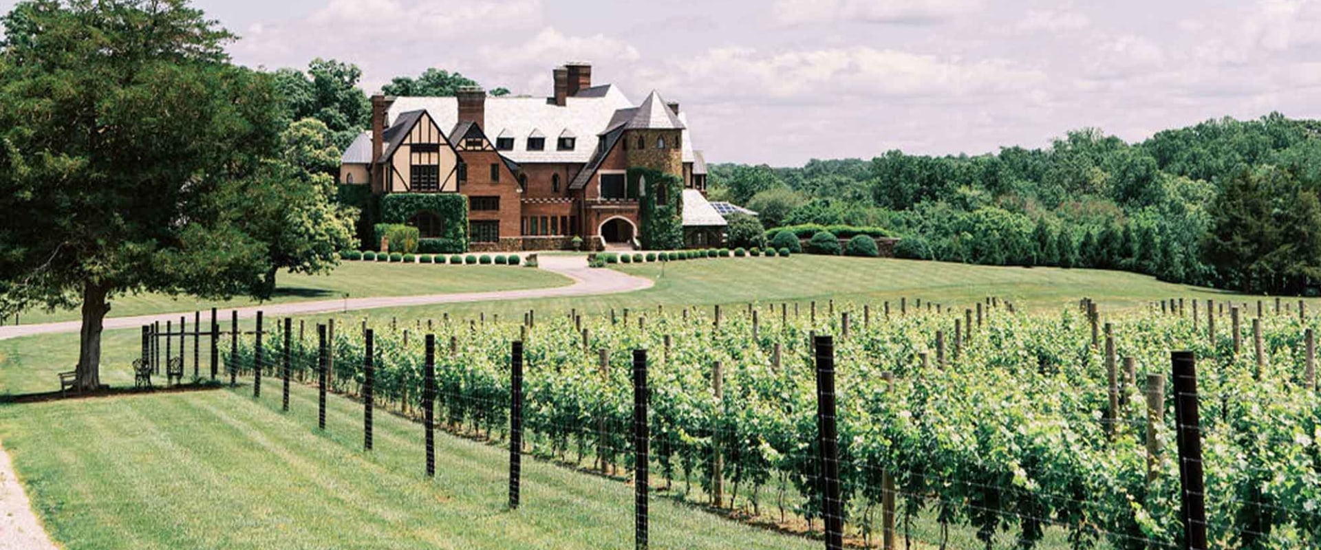 The Growing Trend of Organic and Sustainable Wines in Central Virginia