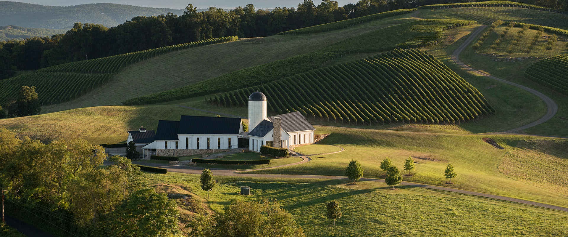 The Hidden Gems of Central Virginia's Wine Industry