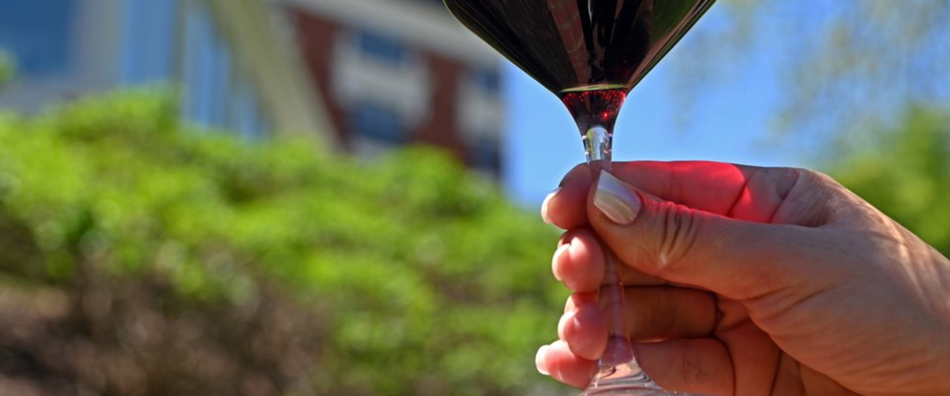The Power of Collaborations and Partnerships in Central Virginia's Wine Industry