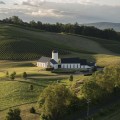The Ultimate Guide to Starting a Wine Company in Central Virginia