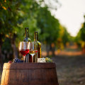 The Economic Impact of Wine Companies in Central Virginia: A Local Expert's Perspective