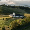 The Hidden Gems of Central Virginia's Wine Industry