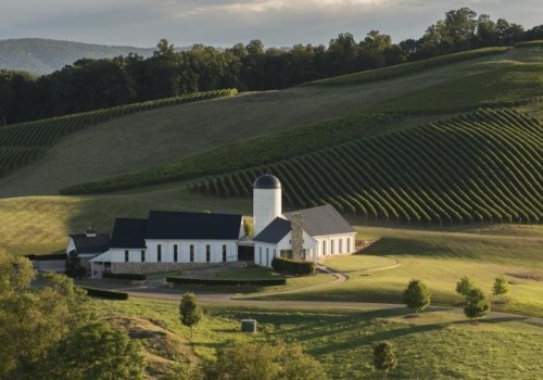 The Ultimate Guide to Starting a Wine Company in Central Virginia