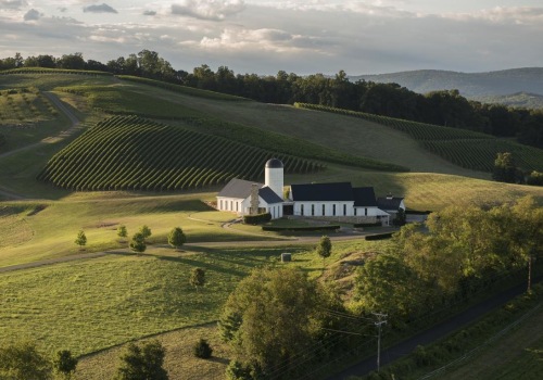 The Evolution of Wine Production in Central Virginia