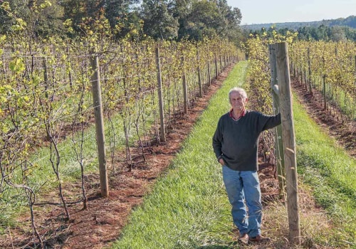 The Influential Figures of Central Virginia's Wine Industry