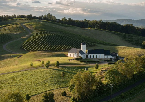 The Hidden Gem of Central Virginia: Exploring the Top Wine Companies