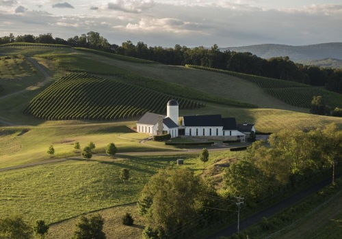 The Best Time to Explore Wine Companies in Central Virginia
