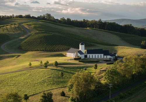 Uncovering the Hidden Gems of Central Virginia's Wine Country