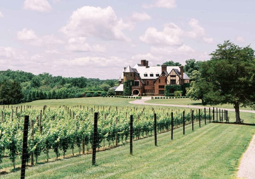 The Growing Trend of Organic and Sustainable Wines in Central Virginia